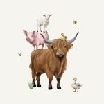 boerderijdieren
