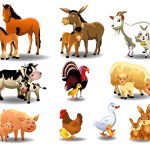 boerderijdieren