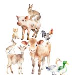 boerderijdieren