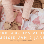 cadeau 2 jaar meisje