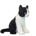 kat knuffel