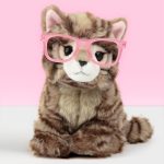 knuffel kat
