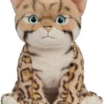 knuffel kat
