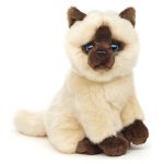 knuffel kat