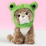 knuffel kat