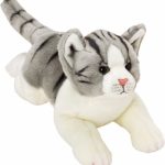 knuffel kat