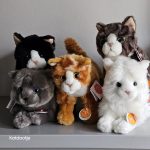 knuffel kat