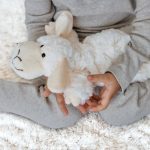 schaap knuffel