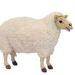 schaap knuffel